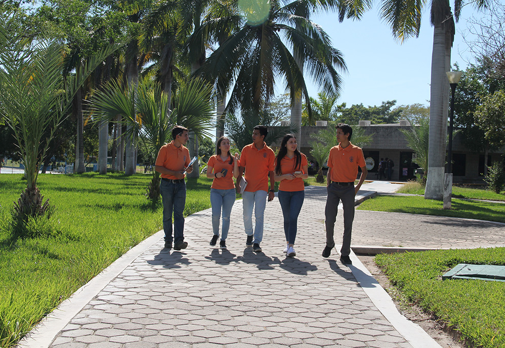 Instalaciones de la Universidad Politécnica de Sinaloa (UPSIN) con estudiantes caminando por los pasillos.