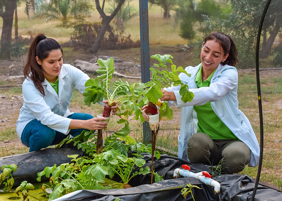 Ingeniería Ambiental y Sustentabilidad